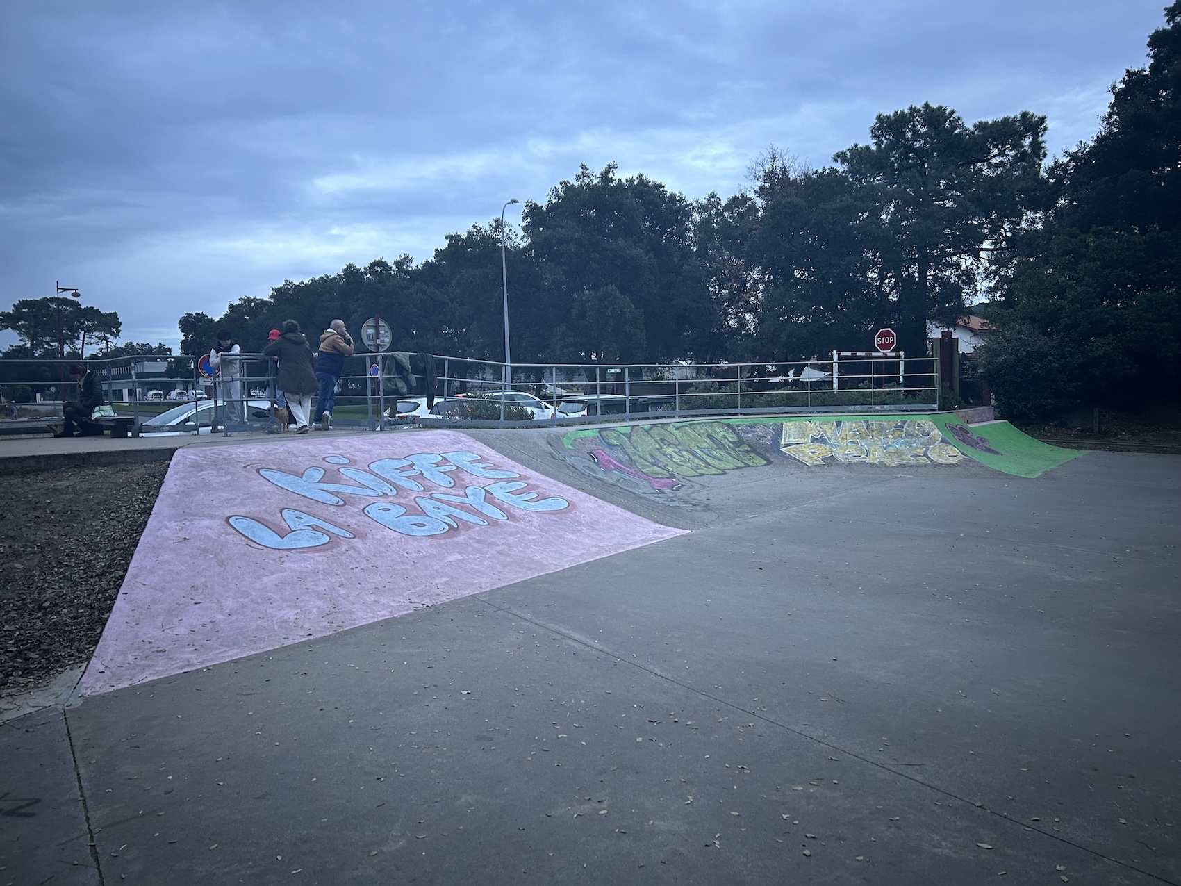 Tarnos skatepark